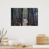 Poster Lumière du matin sur la piste d'hiver (Cuisine)