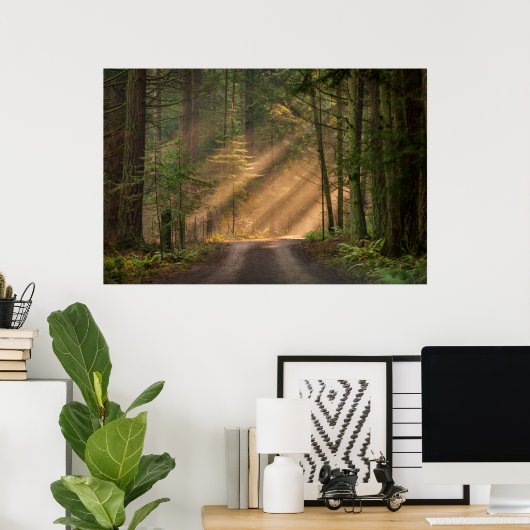 Poster Lumière du soleil à travers la forêt (Bureau à domicile)