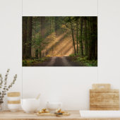 Poster Lumière du soleil à travers la forêt (Cuisine)