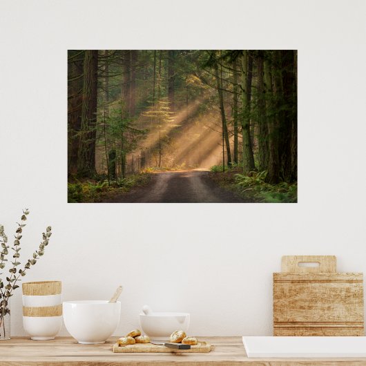 Poster Lumière du soleil à travers la forêt (Cuisine)