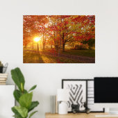 Poster Lumière du soleil à travers les érables rouges d'a (Bureau à domicile)
