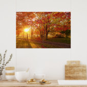 Poster Lumière du soleil à travers les érables rouges d'a (Cuisine)