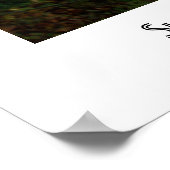 Poster Lumière du soleil à travers les Feuilles (Coin)