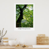 Poster Lumière du soleil à travers les Feuilles (Cuisine)