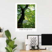 Poster Lumière du soleil à travers les Feuilles (Bureau à domicile)