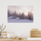 Poster Lumière du soleil et forêt de sapins (Cuisine)