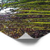 Poster Lumière du soleil sur le papier d'affiche des cadr (Coin)