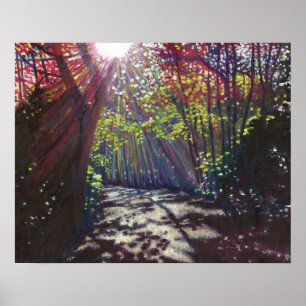 Poster Lumière éparpillée 2013