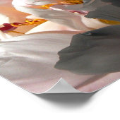 Poster Lumière et ombre 2 (Coin)