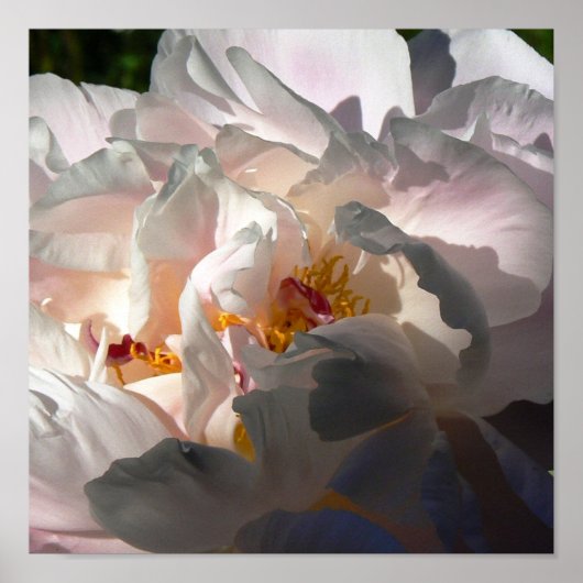 Poster Lumière et ombre 2 (Devant)