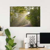 Poster Lumière forestière (Bureau à domicile)