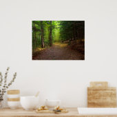 Poster Lumière forestière (Cuisine)