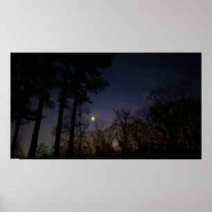 Poster Lumière nocturne,
