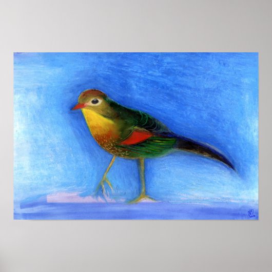 Poster Lumière nocturne 2012 (Devant)