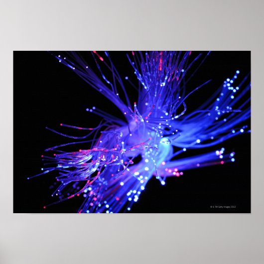 Poster Lumière rouge et bleue de fibre optique (Devant)