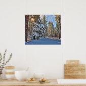 Poster Lumière solaire dans la forêt (Cuisine)