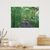 Poster Lumière solaire de la forêt (Cuisine)