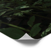 Poster Lumière solaire des bois 02 (Coin)