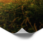 Poster Lumière tête Portland | Cape Elizabeth ME (Coin)