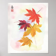 Lumière Tranquille de l'Automne