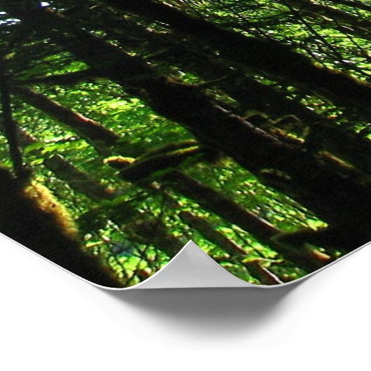 Poster Lumière verte.. (Coin)