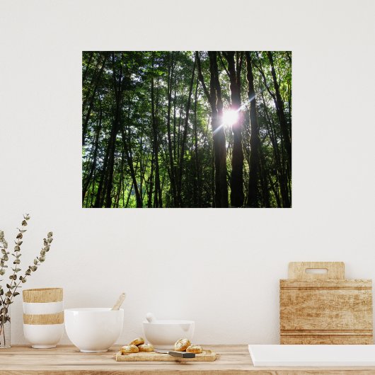 Poster Lumière verte.. (Cuisine)