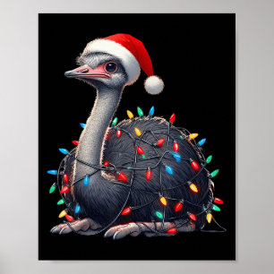 Poster Lumières de Noël d'autruche Fundy Santa Hat Joyeux
