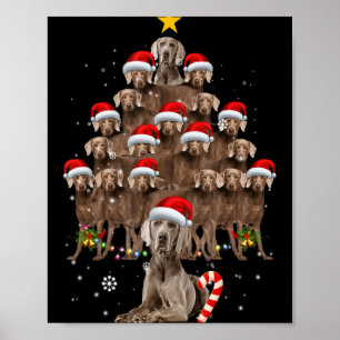 Poster Lumières de sapin de Noël de chien Weimaraner Chap