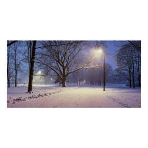 Poster Lumières des rues et arbres couverts de neige