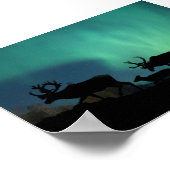 Poster Lumières du caribou et du nord (Coin)
