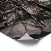 Poster Lumières du Nord | Parc national de Denali (Coin)