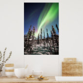 Poster Lumières du Nord | Parc national de Denali (Cuisine)