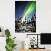 Poster Lumières du Nord | Parc national de Denali (Bureau à domicile)