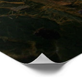 Poster Lumières nocturnes de Cactus (Coin)