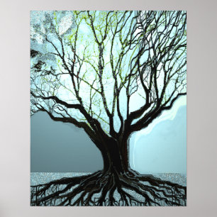 Poster Lumières Racines Bleues