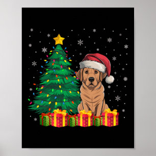 Poster Luminaires de Noël du lagon laide du Labrador Sant
