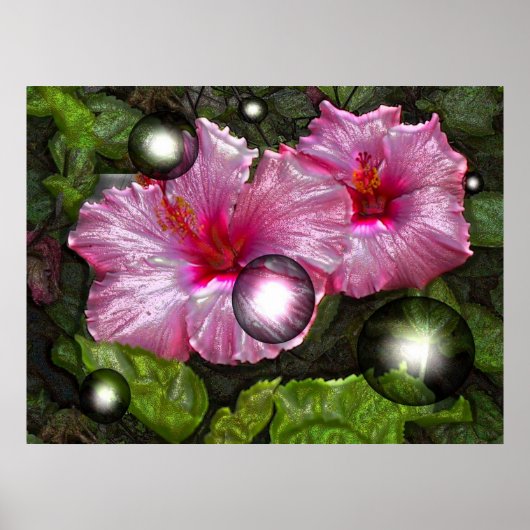 Poster lumineux (Devant)