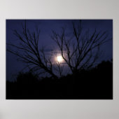 Poster Luminosité de la lune (Devant)