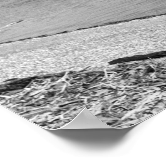 Poster Lummi Island, WA - Vue de Lago Bay (Coin)