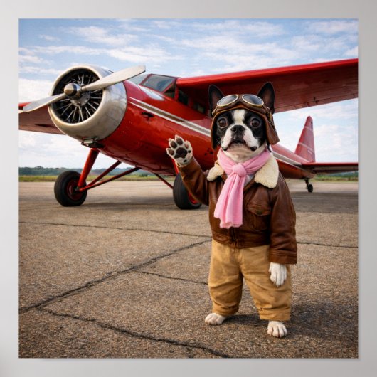 Poster "Luna Earhart" (Devant)