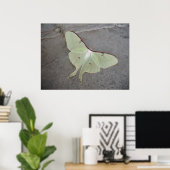 Poster Luna Moth (Bureau à domicile)