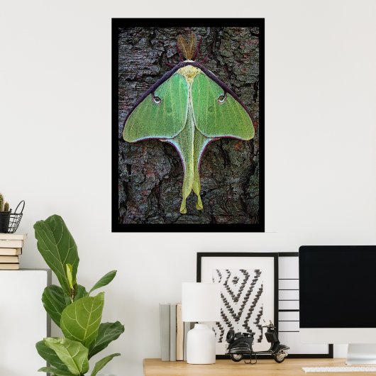 Poster Luna Moth (Bureau à domicile)
