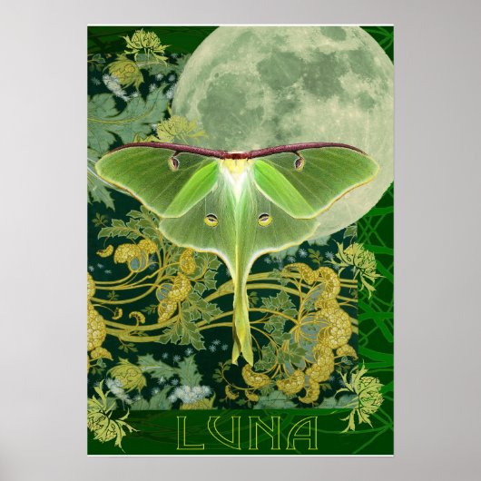 Poster Luna Moth and Moon Poster, Green Nature Collage (Devant)