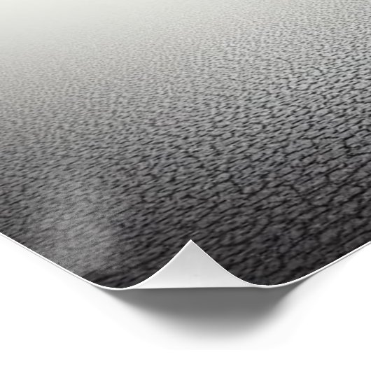 Poster Lunar Howl (Coin)