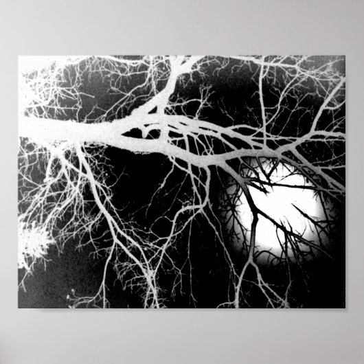 Poster Lune (Devant)