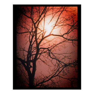 Poster Lune