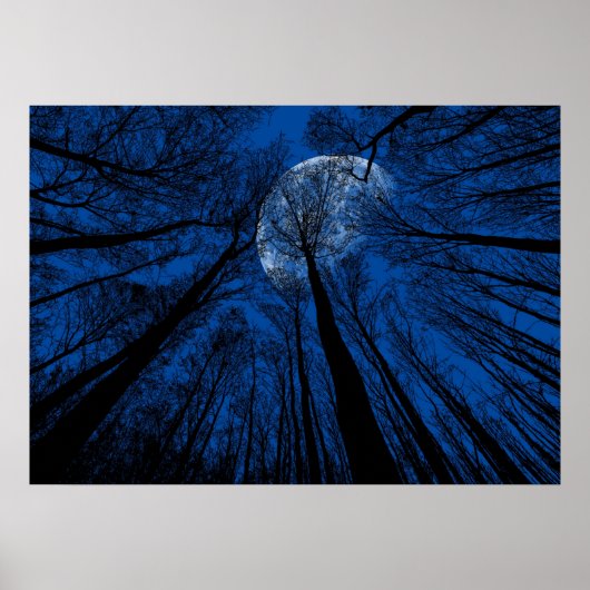Poster Lune dans le ciel nocturne (Devant)