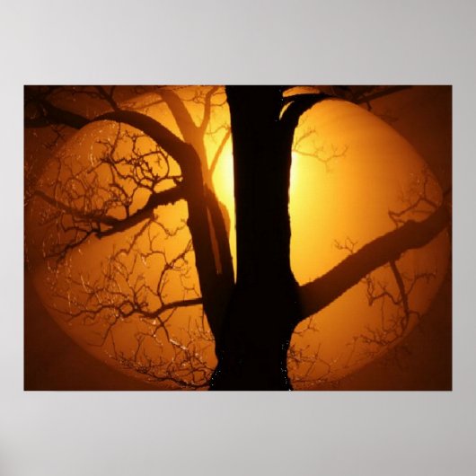 Poster Lune d'automne brillant à travers l'impression d'a (Devant)