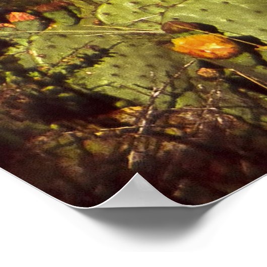 Poster Lune de Chisos (Coin)