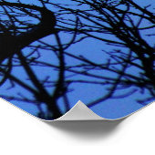 Poster Lune de janvier (Coin)